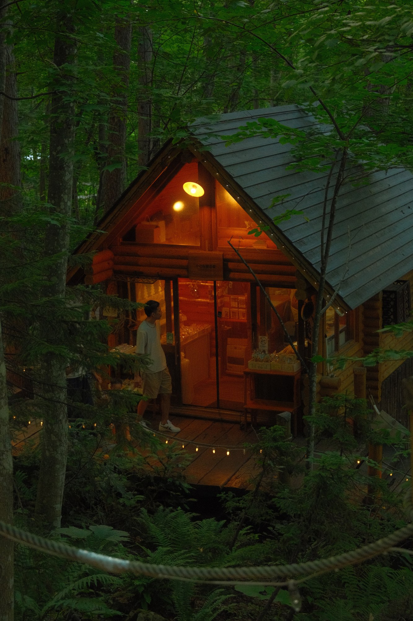 A small illuminated house surrounded by trees