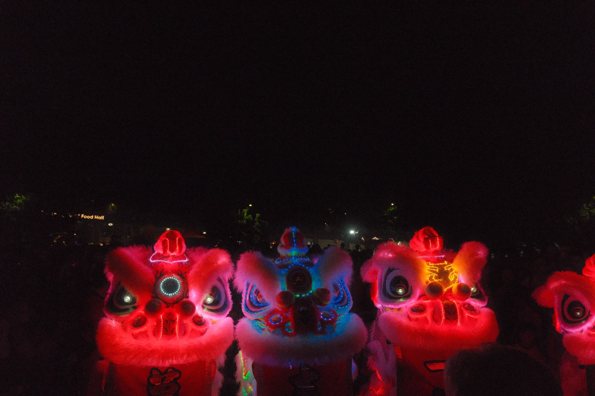 Illuminated lion dance heads at night